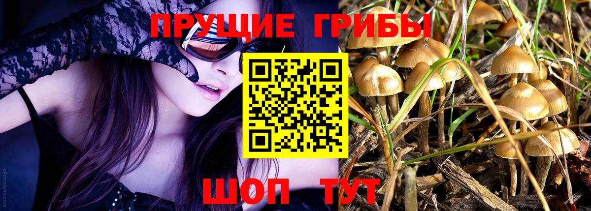 Псилоцибиновые грибы мухоморы Белорецк