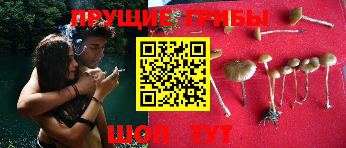 Белорецк  Галлюциногенные грибы ЛСД  Вход с VPN 